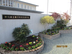 春７