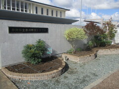 春８