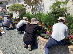 花壇④
