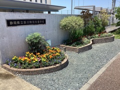 after 花壇6