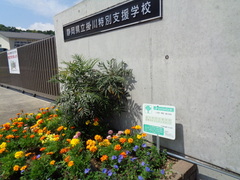DSC06979 花壇5