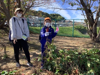 いもほり3 いもほり3