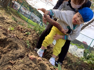 いもほり5 いもほり5