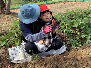 いもほり4 いもほり4