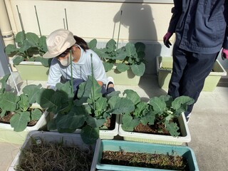 園芸班１