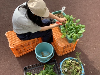 園芸班２