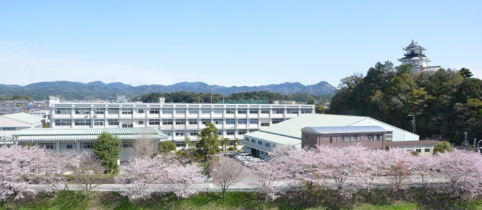 トップページ校舎サクラ