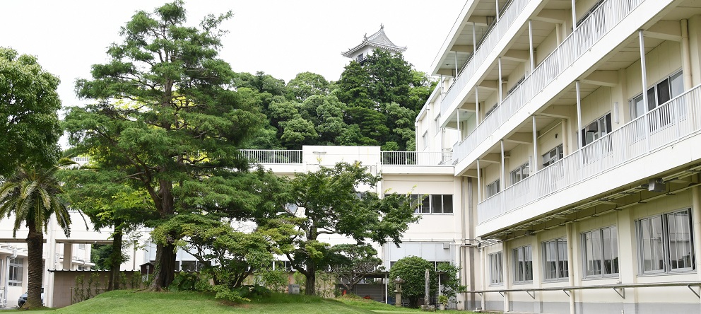 中庭