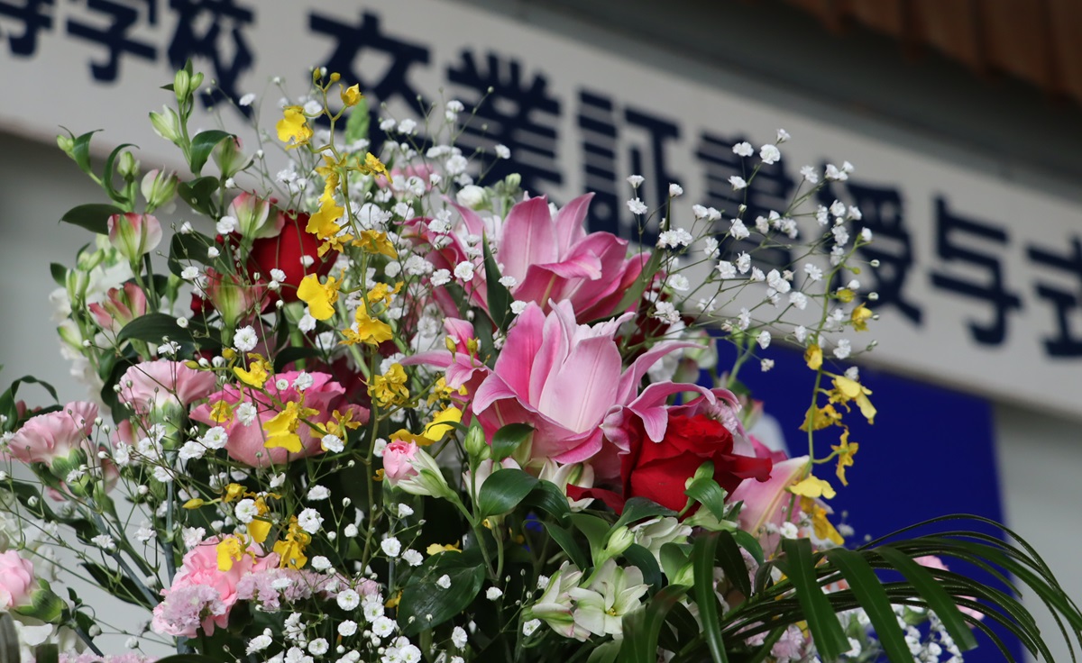 進路情報