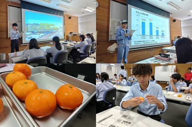 20260622 【商業科×農業科】湖北みかんの紹介＆試食