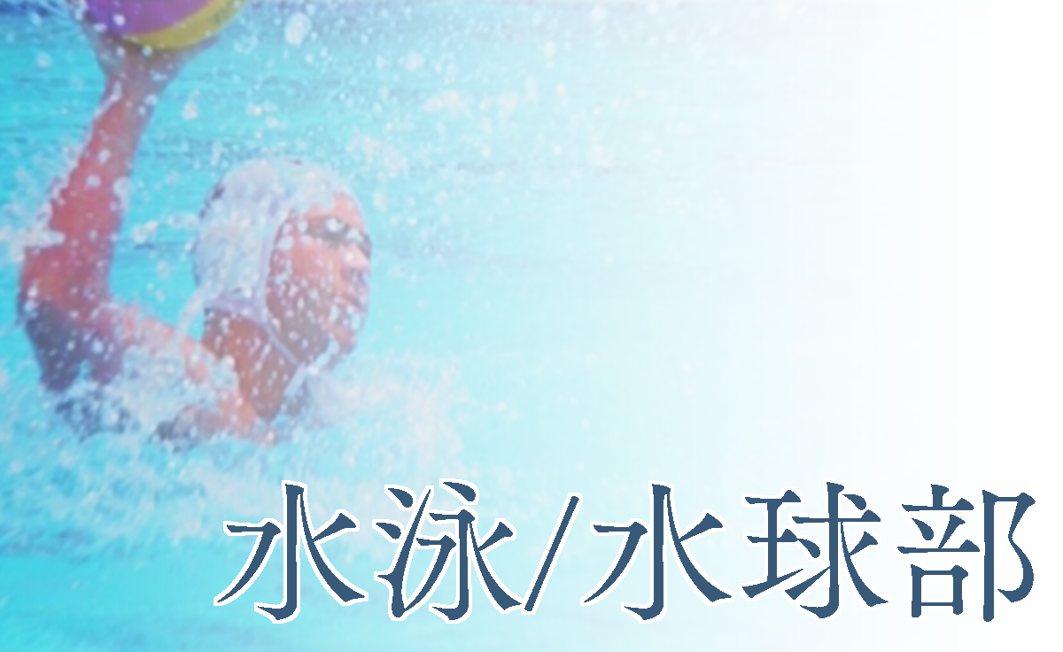 水泳/水球部