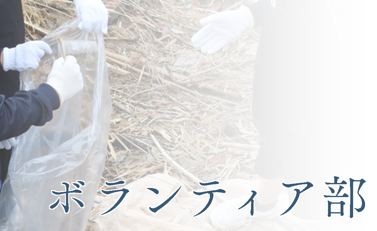 ボランティア部