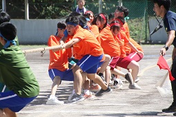 体育大会⑤