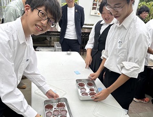 東大樹芸研究所