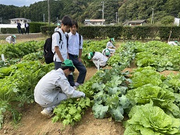 オープンスクール
