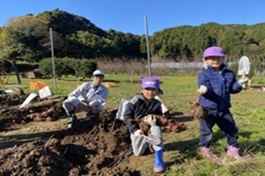 芋ほり