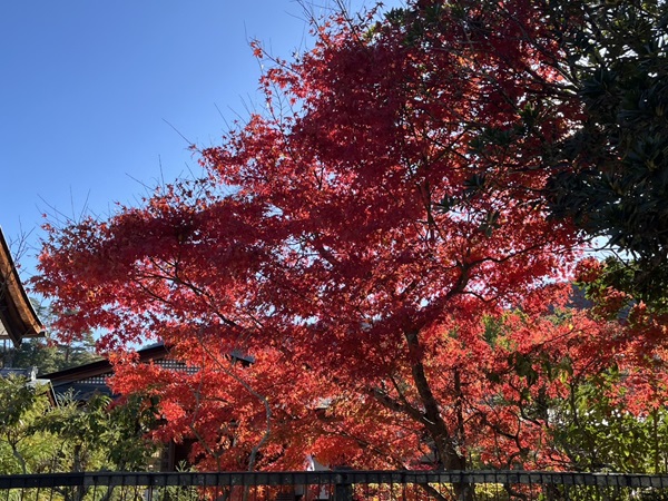 修学旅行２