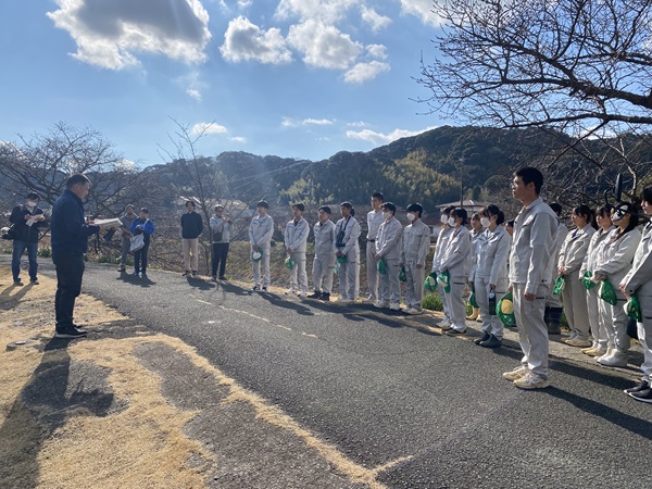 河津桜剪定