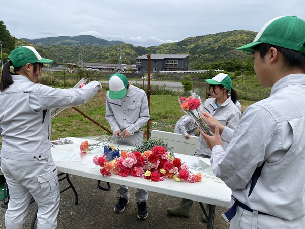 カーネーション