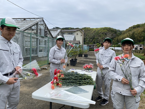 カーネーション