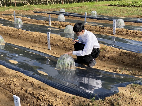 朝の観察