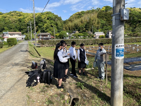 朝の観察