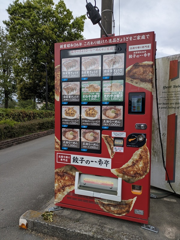 パクチー香るさわやか餃子