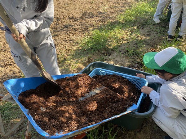 堆肥の実験