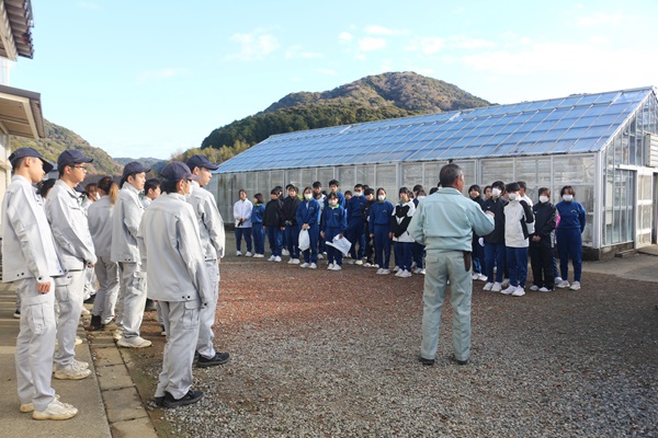 伊豆中3年交流