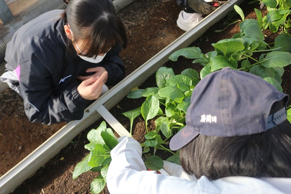 伊豆中3年交流