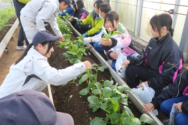 伊豆中3年交流