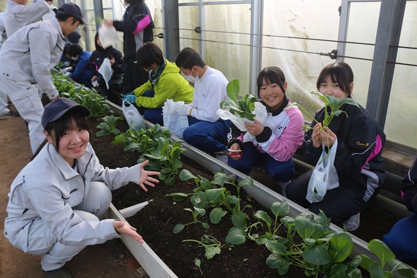 伊豆中3年交流