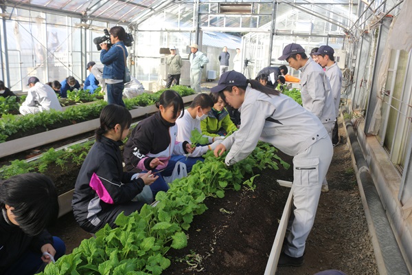 伊豆中3年交流