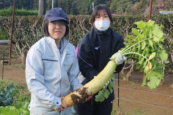 伊豆中3年交流