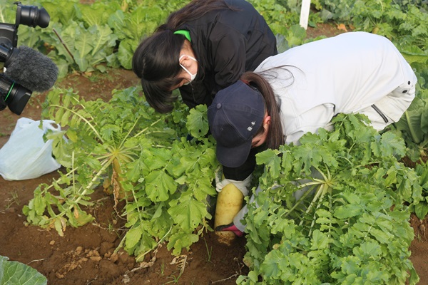 伊豆中3年交流