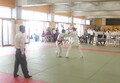judo