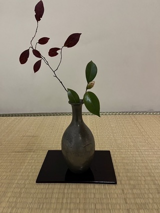20241217茶道部3