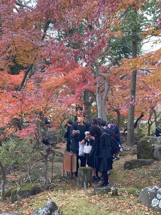 佐野美術館３