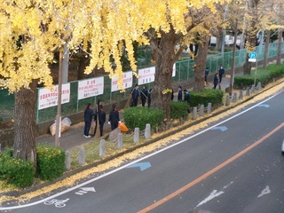 20251205銀杏清掃004