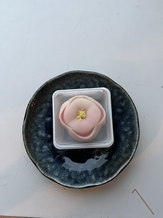 2026年1月20日(16_59) 茶道