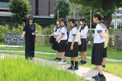 IMG_8991 いね