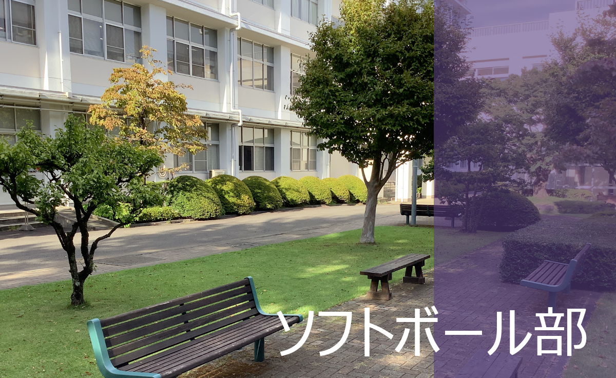 ソフトボール部