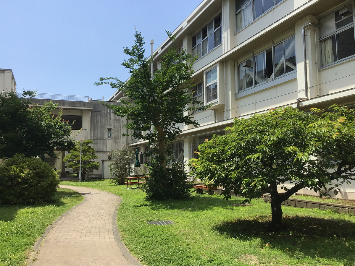 文化部
