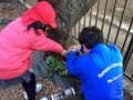 樹木札を植える様子