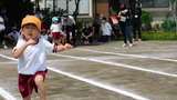 幼稚部徒競走の様子
