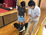 盲導犬と歩く児童