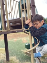 登り棒から降りる様子