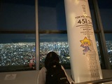東京スカイツリーの展望台