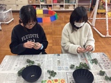 プチヴェールの葉を取る小学部児童