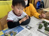 プチヴェールの葉を取る幼稚部幼児の様子
